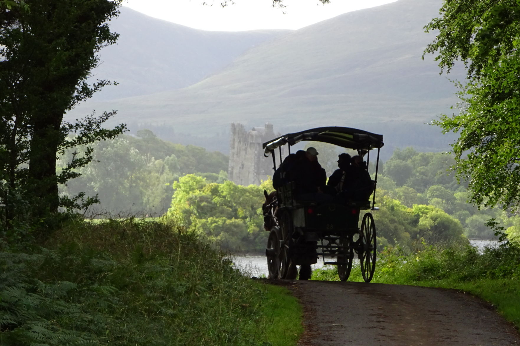 Killarney National Park, Ireland